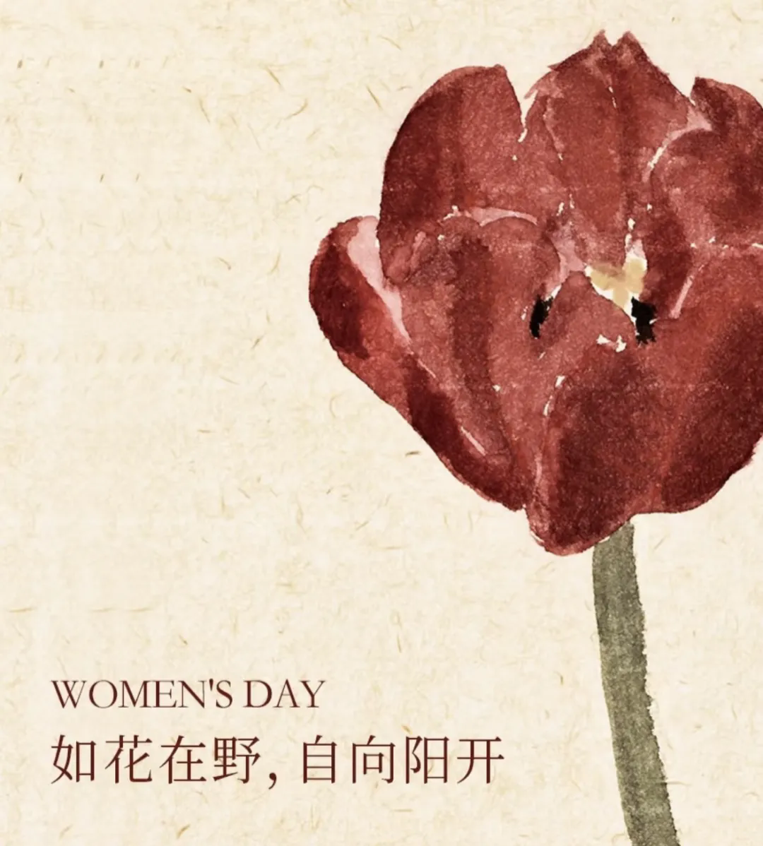 3·8女神節(jié)丨 南北特糕點(diǎn)，獻(xiàn)給每一位甜蜜女神