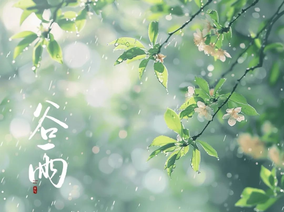 谷雨潤(rùn)萬(wàn)物，酥香寄深情